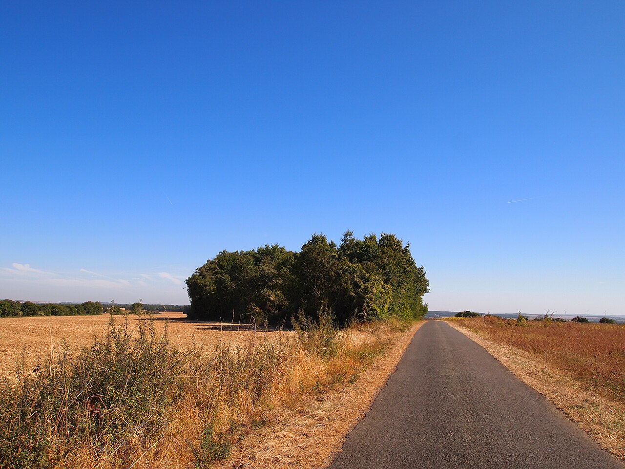 Quatre Tumulis de Tusson